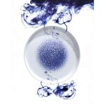 Farfurie plana Infinity, 300 mm Fine Dine - Image 10