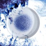Farfurie pentru paste Serenity 260 mm Fine Dine - Image 8