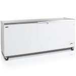 Congelator înghețată Tefcold Cf700S Sl