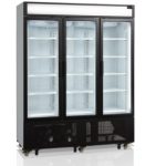 Rafrigator de sticle Tefcold Fsc1600H