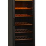 Rafrigator de vin Tefcold Cpv1380