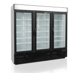 Congelator expozitiv Tefcold Nf7500G