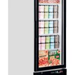 Congelator expozitiv Tefcold Lgf2500