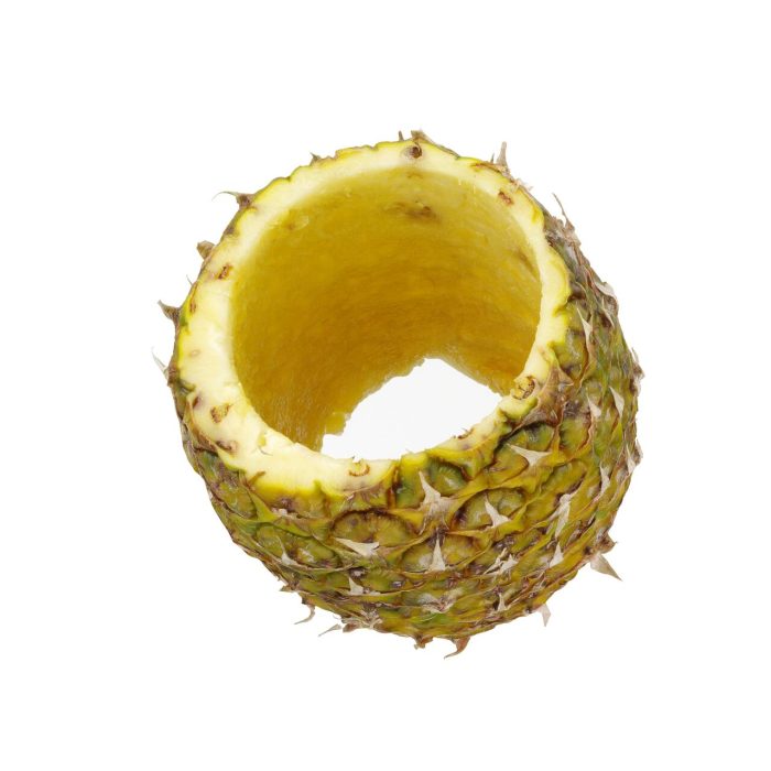 Dispozitiv de taiat ananas 240x100mm - Image 2